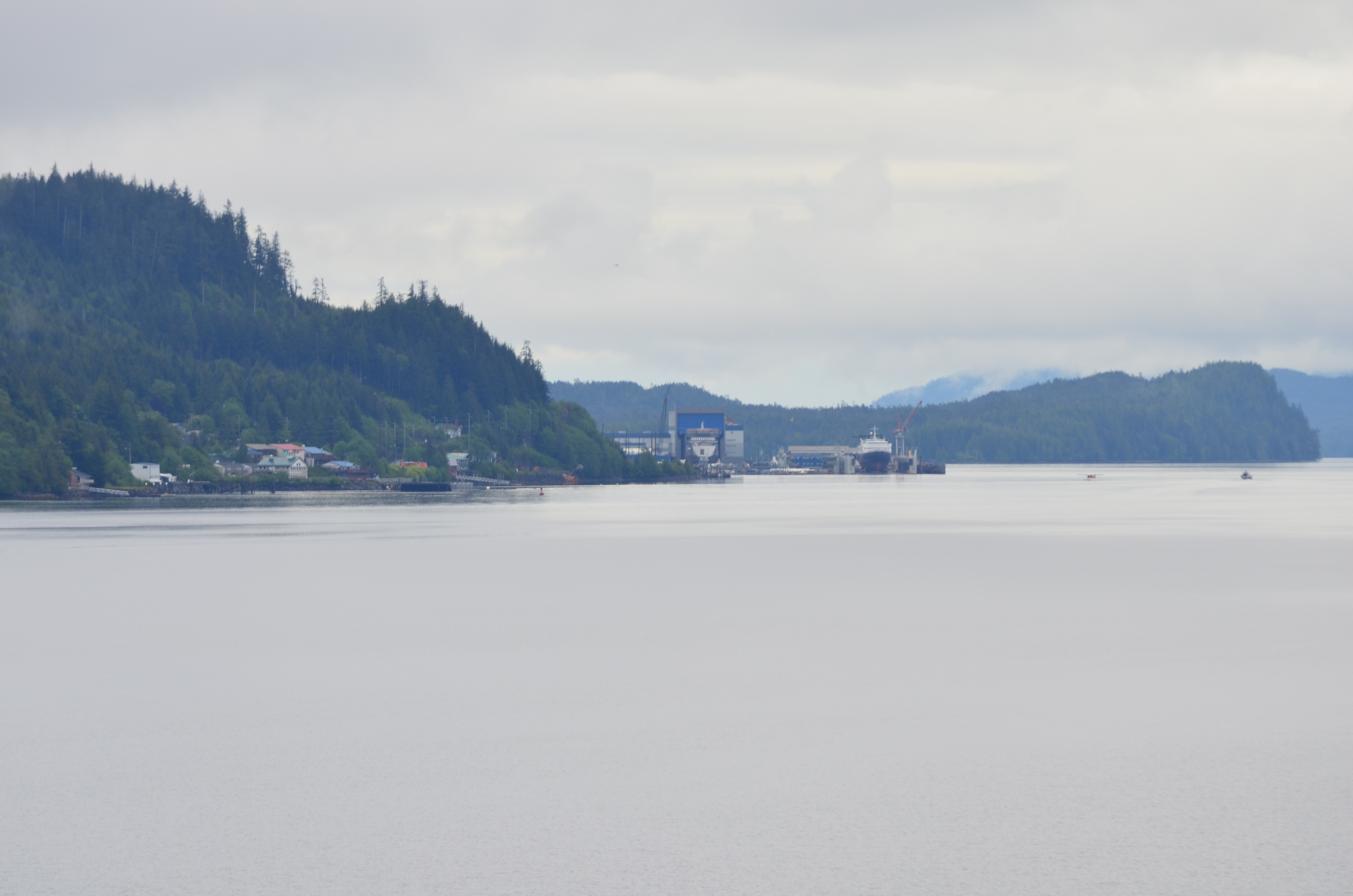 ./2017/08 - Alaska Cruise/11 - Ketchikan/DSC_0402.JPG